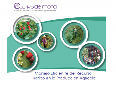 MANEJO EFICIENTE DEL RECURSO HÍDRICO EN LA PRODUCCIÓN AGRÍCOLA