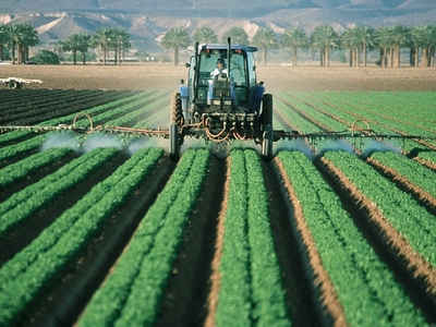 Agricultura y seguridad alimentaria