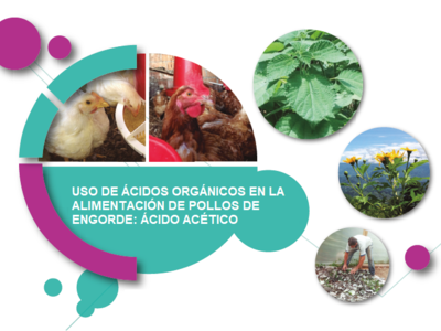 Uso de Ácidos Orgánicos en la Alimentación de Pollos de Engorde: Ácido Acético