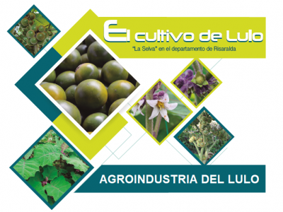 AGROINDUSTRIA DEL LULO