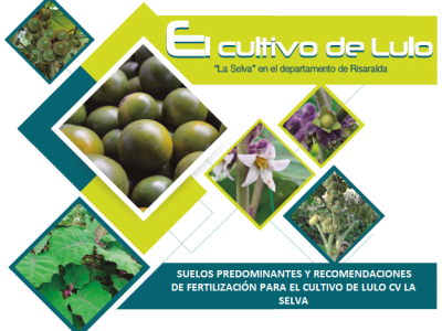 SUELOS PREDOMINANTES Y RECOMENDACIONES DE FERTILIZACIÓN PARA EL CULTIVO DE LULO CV LA SELVA