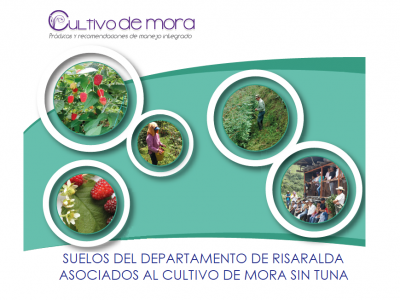 SUELOS DEL DEPARTAMENTO DE RISARALDA ASOCIADOS AL CULTIVO DE MORA SIN TUNA