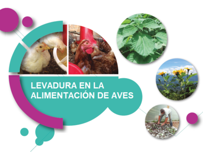 Levadura en la Alimentación de Aves