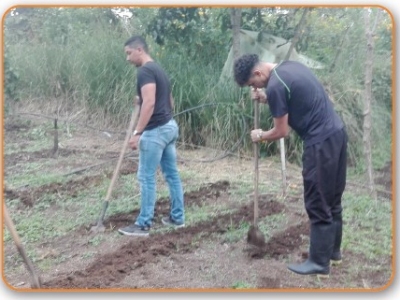 5. Preparación del Terreno