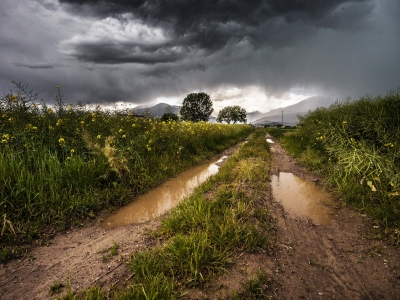 Atentos con el Clima