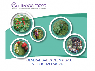 GENERALIDADES DEL SISTEMA PRODUCTIVO MORA