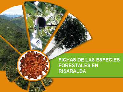 Propagación de Especies Forestales