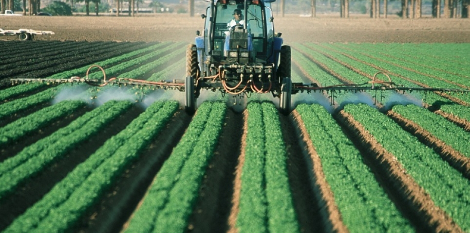 Agricultura y seguridad alimentaria