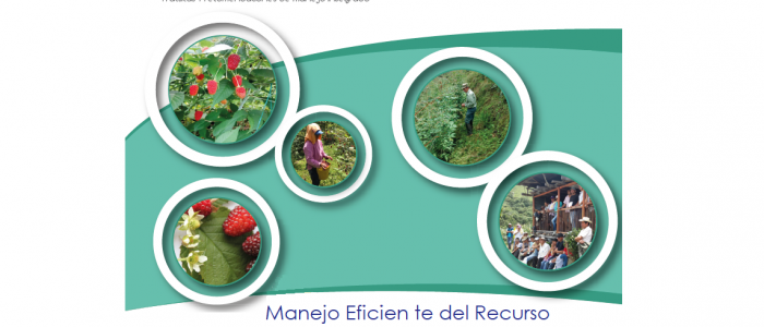 MANEJO EFICIENTE DEL RECURSO HÍDRICO EN LA PRODUCCIÓN AGRÍCOLA