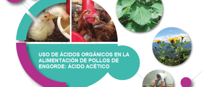 Uso de Ácidos Orgánicos en la Alimentación de Pollos de Engorde: Ácido Acético