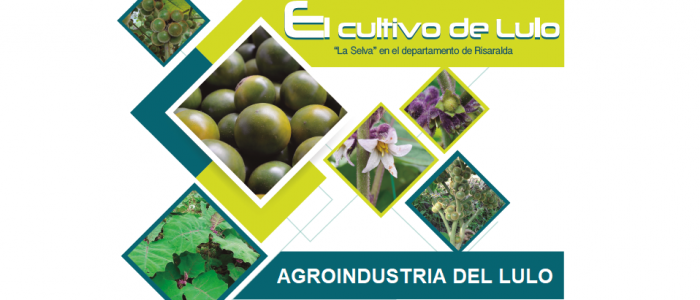 AGROINDUSTRIA DEL LULO