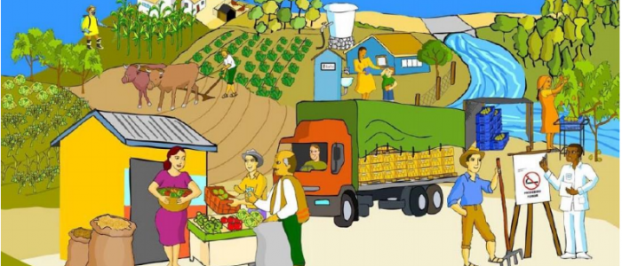 Implementación de las Buenas Prácticas Agrícolas (BPA)