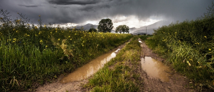 Atentos con el Clima