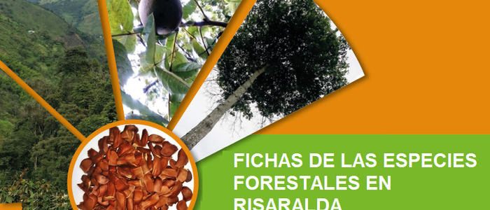 Propagación de Especies Forestales